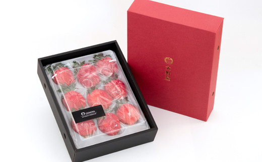 【先行予約】大粒厳選いちご やよいひめ1パック 450ｇ 苺大野屋 宮崎県西都市＜1.5-232＞苺 いちご 果物 くだもの フルーツ 贈答用 ギフト 大粒450ｇ×1パック【寄附額15,000円】