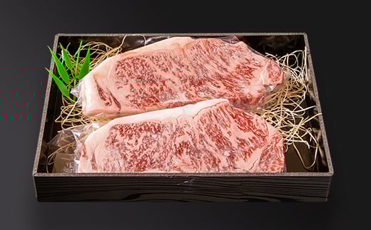 黒毛和牛 「宮崎和牛 齋藤牛」サーロインステーキ 250g×2枚 合計500g 国産牛肉＜4.3-3＞