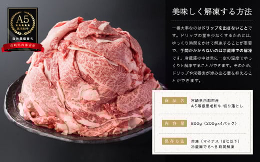 【最高品質のA5等級 西都和牛】黒毛和牛切り落とし 800g（200ｇ×4） 小分け カミチクファーム＜1.2-19＞★