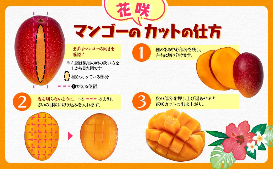 完熟マンゴー『大玉4Ｌ×2玉』（約1kg）糖度12度以上　西都産完熟マンゴー（JA西都）化粧箱入り《先行予約》＜2-45＞2026年発送 果物 くだもの フルーツ 宮崎県西都市