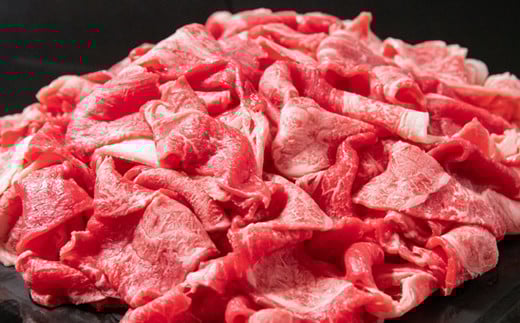 宮崎有田牧場 この華牛切り落とし1㎏ （500g×2パック） オリジナルブランド『この華牛』赤身主体＜1.2-28＞牛肉 大容量 肉1ｋｇ 国産 切落とし 宮崎県西都市