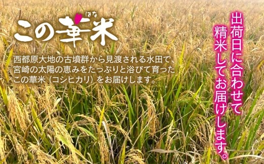 【2026年1月発送】令和7年産米こしひかり 『この華米』5kg   ＜1.5-41＞精米 白米 コシヒカリ コシヒカリ：5kg