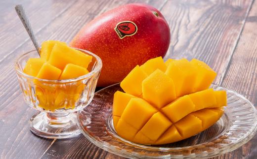 西都産完熟マンゴー大玉！4Ｌ×2玉（約1ｋｇ）【化粧箱入り】《先行予約》＜1.5-178＞2026年発送 果物 くだもの フルーツ 宮崎県西都市