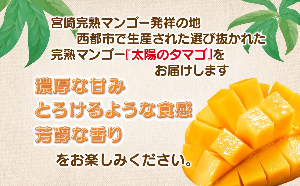 5月発送【先行予約】最高級ブランド『太陽のタマゴ』2L×2個【糖度15度以上】宮崎県西都市産完熟マンゴー＜3.6-5＞宮崎マンゴー 果物 フルーツ 甘い 5月発送　太陽のタマゴ2L×2個