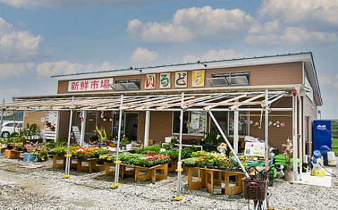 朝どれスイートコーン ゴールドラッシュ5kg（14本～16本） 農産物直売所『新鮮市場いろどり』≪先行予約≫＜1-209＞