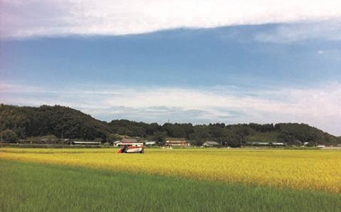 令和4年産新米コシヒカリ6kgとゆず加工品セット＜1-176＞