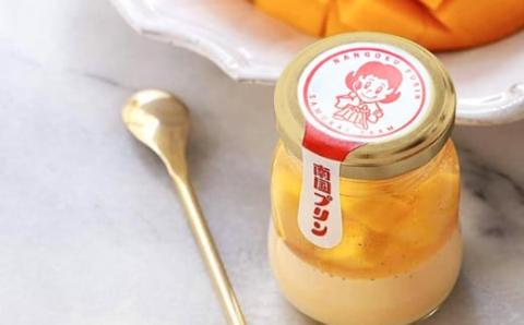 【11月13日終了】宮崎完熟マンゴープリンセット　6個入り＜1-275＞