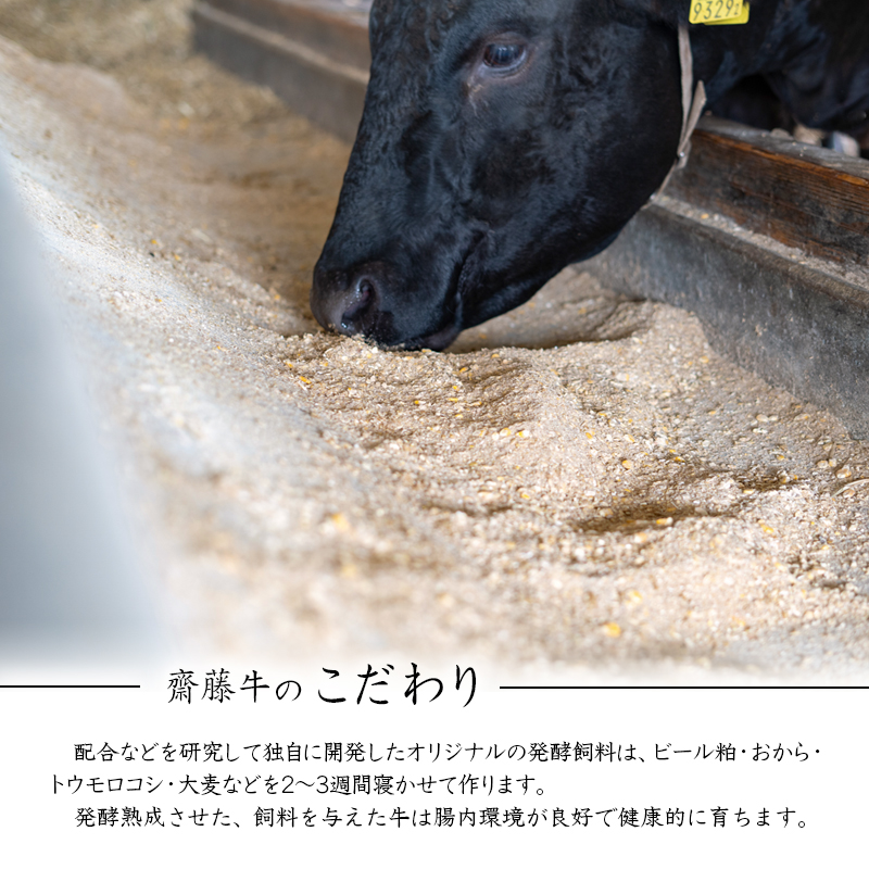 【お中元ギフト】宮崎和牛「齋藤牛」牛100％手作りプレミアムハンバーグセット（120g×6個 計720ｇ）＜1.2-60＞