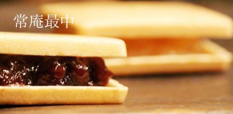 【母の日ギフト】老舗水野屋『銘菓詰合せ』和菓子＜1.1-34＞菓子 お菓子 最中 どら焼き 贈り物 ギフト 宮崎県西都市