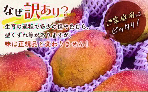【先行予約】「訳あり」ご家庭用完熟マンゴー2kg（4玉～8玉）宮崎県西都市産＜2-95＞2026年発送 果物 くだもの フルーツ 宮崎県西都市