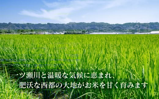 【令和7年産新米・先行予約】こしひかり 10kg ※8月上旬以降順次発送予定 精米済み ＜2.4-8＞ 新米 こしひかり お米 精米 10キロ 米 ライス 宮崎県 西都市 こしひかり：10kg【寄附額24,000円】