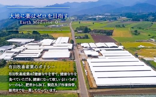 【2月発送】宮崎有田牧場 黒毛和牛高級部位 シャトーブリアン入りヒレステーキ5枚 牛肉 ステーキ＜6.5-4＞