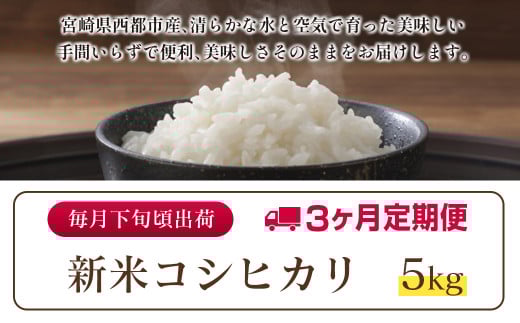 【3ヶ月定期便】 新米コシヒカリ無洗米 5kg×3 合計15kg 令和7年産 10月～12月発送 宮崎県西都市産＜4.9-3＞こしひかり 精米 白米 お米 宮崎県 西都市 コシヒカリ：3ヶ月定期便 5kg×3【寄附額49,000円】