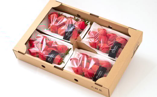 【先行予約】苺大野屋 やよいひめ 厳選いちご 250g×４パック 1kg 宮崎県西都市＜2-104＞苺 果物 くだもの フルーツ 1ｋｇ(250ｇ×4パック)【寄附額20,000円】