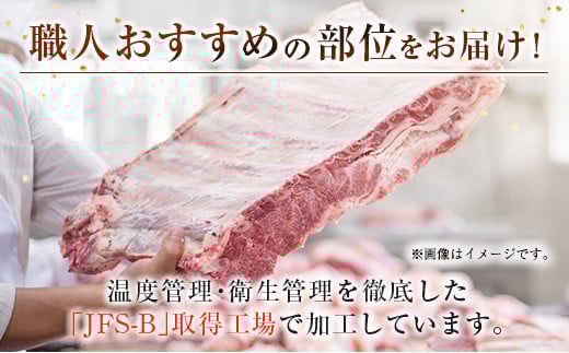 【宮崎牛】こま肉＆ミンチセット１ｋｇ 内閣総理大臣賞４連続受賞 Ａ４等級以上＜1.4-18＞W 宮崎県 西都市 牛肉