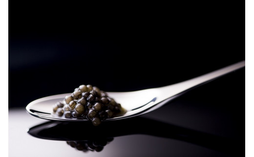 【お歳暮ギフト】宮崎キャビア MIYAZAKI CAVIAR 1983  20g 国産「ジャパンキャビア」＜4.5-1＞年内発送 ご自宅用でもどうぞ お歳暮ギフト