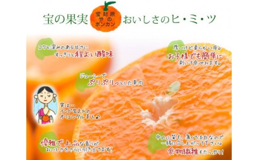  ぽんかん5kg 12月発送開始 宮崎県西都産 宝財原 やのぽんかん園 【先行予約】＜1.4-9＞ポンカン