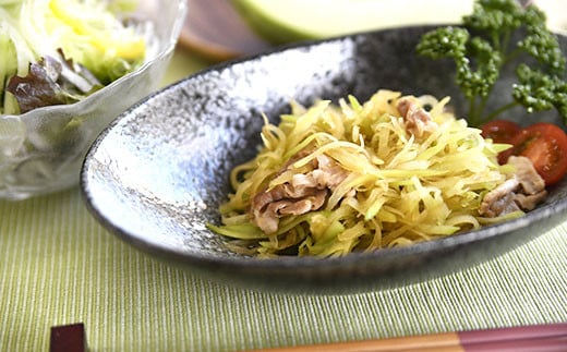 【先行予約】西都市産『青パパイヤ』5kg（4～7個）＜1-234＞西都市 果物 フルーツ