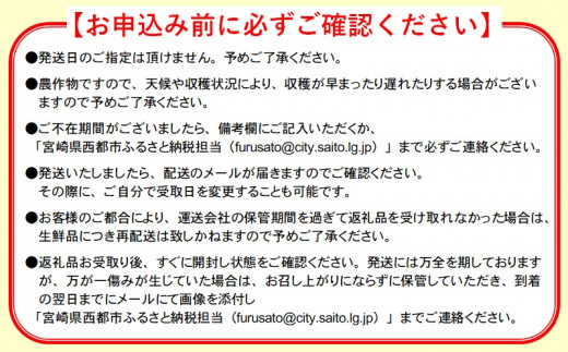 【ANA限定】糖度16度以上！宮崎スターズマンゴープレミアム 2～3玉（約1kg）宮野原農園 【先行予約】2026年発送＜3.5-18＞果物 くだもの フルーツ ギフト 宮崎県西都市