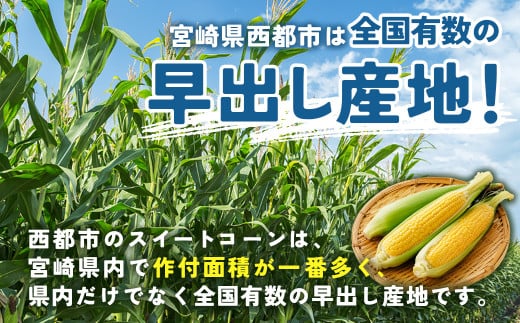 【先行予約】自慢のスイートコーン『ゴールドラッシュ』18～22本(約7kg)西都市特産<1-122>2026年発送 とうもろこし 野菜 宮崎県西都市