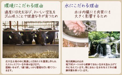 黒毛和牛稀少部位を含む 特上焼肉極み500g 有田牧畜産業ブランドEMO牛 牛肉 焼肉 国産牛肉＜1.8-23＞ 通常お届け