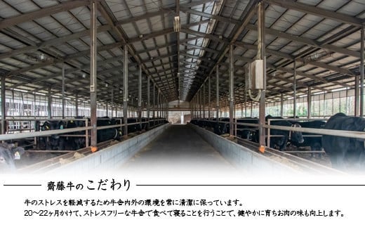 黒毛和牛「宮崎和牛 齋藤牛」切り落とし 800g（400g×2パック） 国産牛肉 小分け＜1.2-61＞