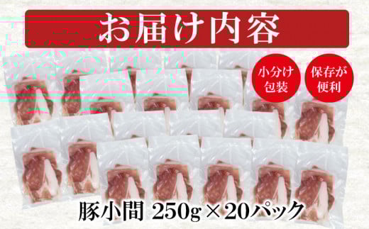 宮崎県産 豚肉小間切れ　合計5ｋｇ 小分け（250g×20パック）＜2-21＞豚肉 肉 ポーク 切落とし 大容量 小分け しゃぶしゃぶ 焼肉 宮崎県産 宮崎 西都市