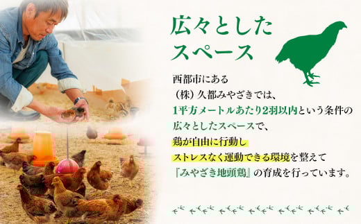 みやざき地頭鶏（じとっこ）鍋セット　鶏もも・鶏むね・手羽・つくね・スープ付＜1.5-58＞鶏肉 肉 鍋 地鶏 宮崎県西都市