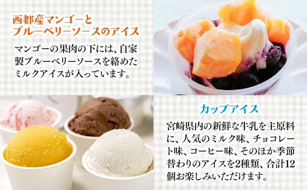 【もりのふうオリジナル】人気アイス 4回定期便＜4.4-5＞【12月31日終了】ピスタチオ マンゴー 栗