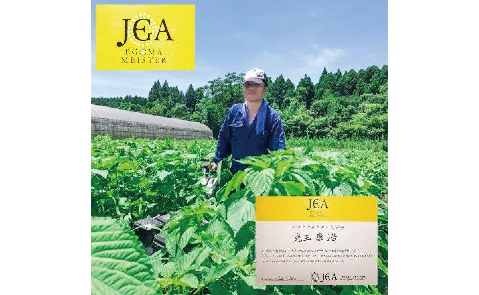 【毎日の美容と健康に】生えごま油（70g×2本）<1-240>純度100％ ドレッシング 食用油 宮崎県西都市