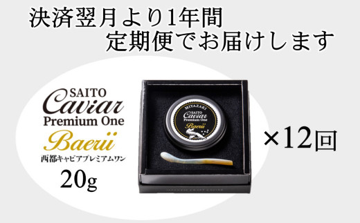 【12ヶ月定期便】「SAITO CAVIAR PREMIUM ONE BAERII」20g×12ヶ月　西都市オリジナルキャビア　鮎のよしの＜50-1＞