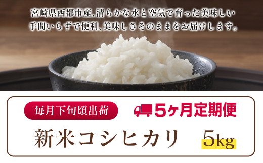 8月発送開始【5ヶ月定期便】 新米コシヒカリ無洗米 5kg×5 合計25kg 令和7年産 8月～12月発送 宮崎県西都市産＜8.5-7＞こしひかり 精米 白米 お米 宮崎県 西都市 コシヒカリ：5ヶ月定期便 5kg×5【寄附額85,000円】