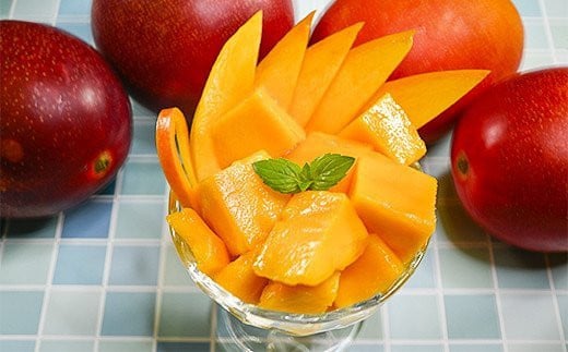 完熟マンゴーセット2Ｌ×2玉 糖度12度以上！西都市産 《先行予約》＜1.3-6＞2026年発送 果物 くだもの フルーツ 宮崎県西都市