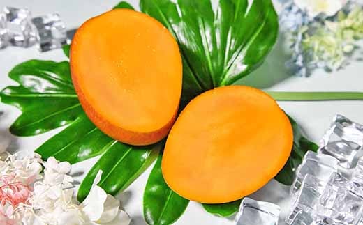 先行予約【マンゴー専門 杉田農園】西都市産 完熟マンゴー 2玉  900g～1kg 化粧箱入 生産者直送  宮崎マンゴー 2026年発送＜1.8-24＞果物 フルーツ 甘い 5月中旬～8月中旬の順次発送