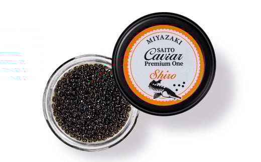 SAITO CAVIAR PREMIUM ONE SHIRO 20g＜5.5-7＞キャビア 西都市オリジナル