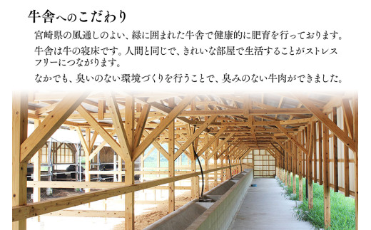 黒毛和牛『都萬牛』ロースステーキ 360ｇ（約180ｇ×2枚）<2-26>牛肉 ステーキ 肉 国産牛 黒毛和牛 宮崎県西都市 30日以内の発送となります。
