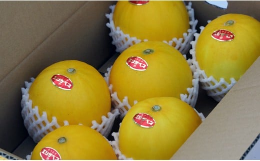 【先行予約】安藤さんちの『エリザベスメロン』約4ｋｇ（6～8玉）＜1.2-38＞2026年発送 果物 くだもの フルーツ 宮崎県西都市