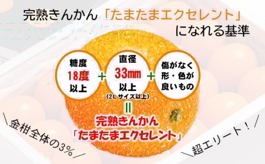 【先行予約】糖度18度以上　宮崎金柑の最高級ブランド『完熟きんかんたまたまエクセレント』1kg　2026年発送＜1.7-27＞
