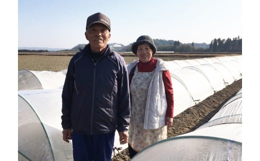 【先行予約】緒方さんちの極甘スイートコーン『イエロー』約7kg（15～20本）2026年発送分<1-43>野菜 やさい とうもろこし 宮崎県西都市