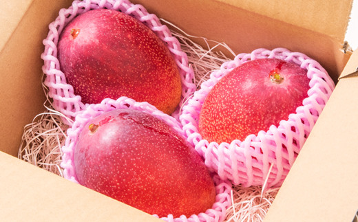 先行予約【長友農園】訳あり家庭用完熟マンゴー1kg 2～3玉 宮崎県西都 産生産者直送 宮崎県 完熟マンゴー　2026年発送＜1.2-59＞