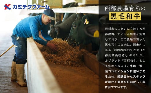 【最高品質A5等級 西都和牛】黒毛和牛食べ比べ焼肉セット 赤身・カルビ 600g （200ｇ×3）小分け 宮崎県産＜1.7-35＞【カミチクファーム】牛肉 肉 BBQ 宮崎県西都市
