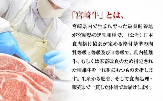 【2月発送】宮崎牛 赤身ステーキ600g A4～A5等級 ミヤチク BBQ 牛肉 モモステーキ＜1.2-71＞●