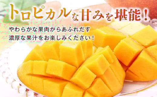 【先行予約】西都市産完熟マンゴー2Ｌ×2玉 W＜1.2-39＞2026年発送 果物 くだもの フルーツ 宮崎県 西都市