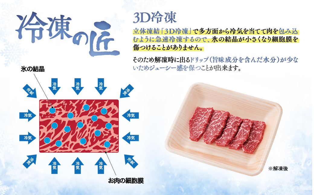 【最速便】【10月より寄附金額見直し】宮崎牛＆宮崎県産豚肉 焼肉10種盛り 食べ比べセット600ｇ ミヤチク 内閣総理大臣賞４連続受賞＜1.2-68＞牛肉 宮崎牛 豚肉 国産 宮崎牛 焼肉