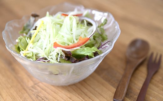 【先行予約】西都市産『青パパイヤ』5kg（4～7個）＜1-234＞西都市 果物 フルーツ