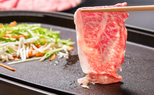 【11月発送】宮崎牛ローススライス900g （300g×3 小分け）牛肉  焼きしゃぶ すき焼き しゃぶしゃぶ 鉄板焼肉 高級部位 ブランド牛 ミヤチク 内閣総理大臣賞4連覇＜2.9-4＞● 300g×3