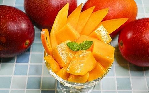 【先行予約】訳あり 糖度12度以上 西都市産完熟マンゴー 4L×3玉　2026年発送＜2.2-21＞