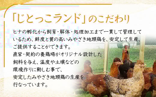 みやざき地頭鶏『地鶏炭火焼』160ｇ×5パックセット＜1.5-218＞鶏肉 地鶏 惣菜 加工品 肉 ギフト 宮崎県西都市 決済から30日前後での発送