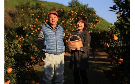  ぽんかん5kg 12月発送開始 宮崎県西都産 宝財原 やのぽんかん園 【先行予約】＜1.4-9＞ポンカン
