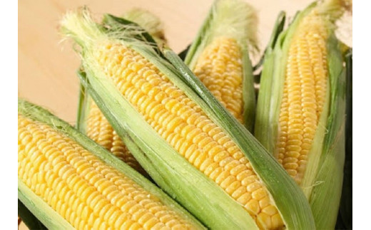 初夏の味覚！鮮度が命 生産者直送 村田さん家のゴールドラッシュ 約8kg 大人気 西都市産 朝どれスイートコーン【先行予約】とうもろこし トウモロコシ＜1.2-35＞